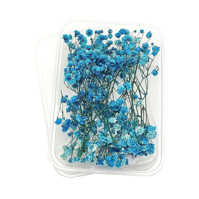 Dried Flowers Box