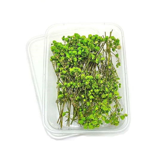 Dried Flowers Box