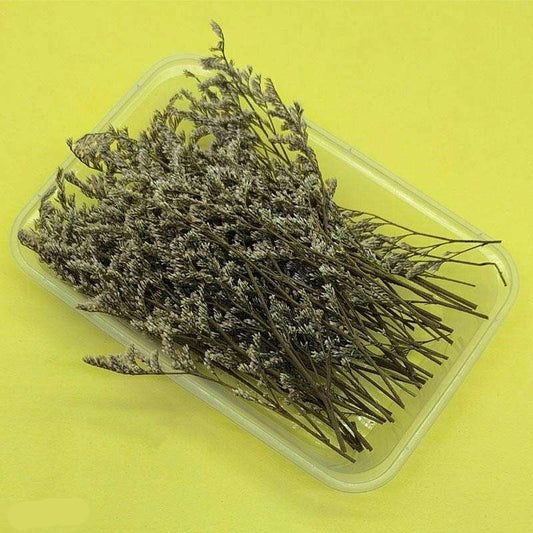 Dried Flowers Box