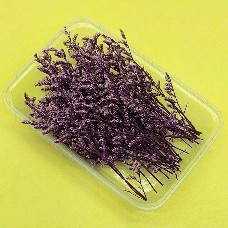Dried Flowers Box