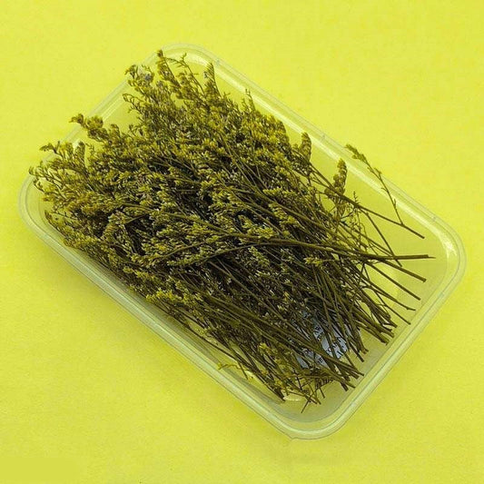 Dried Flowers Box