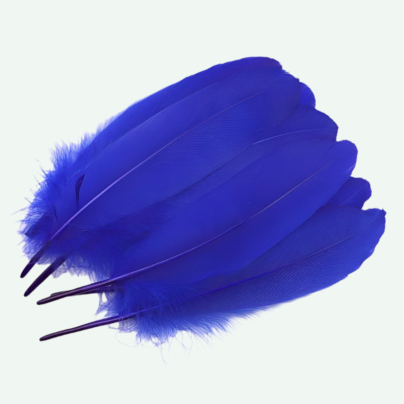 Big Hard Feathers 10pcs