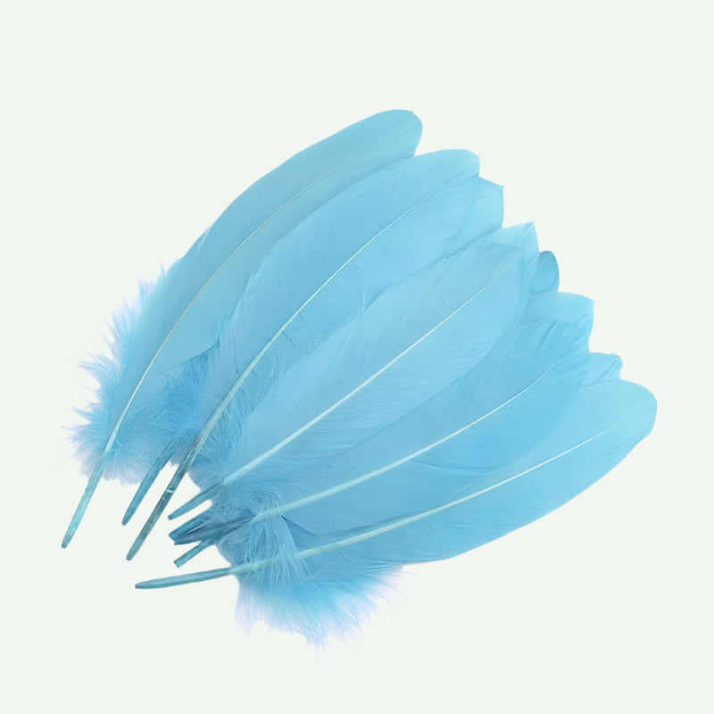 Big Hard Feathers 10pcs