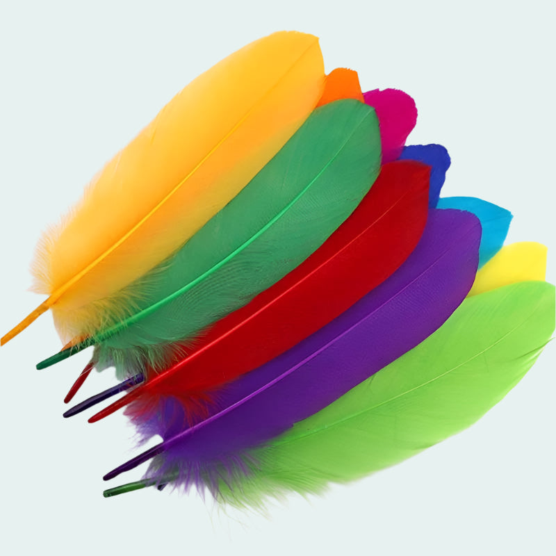 Big Hard Feathers 10pcs