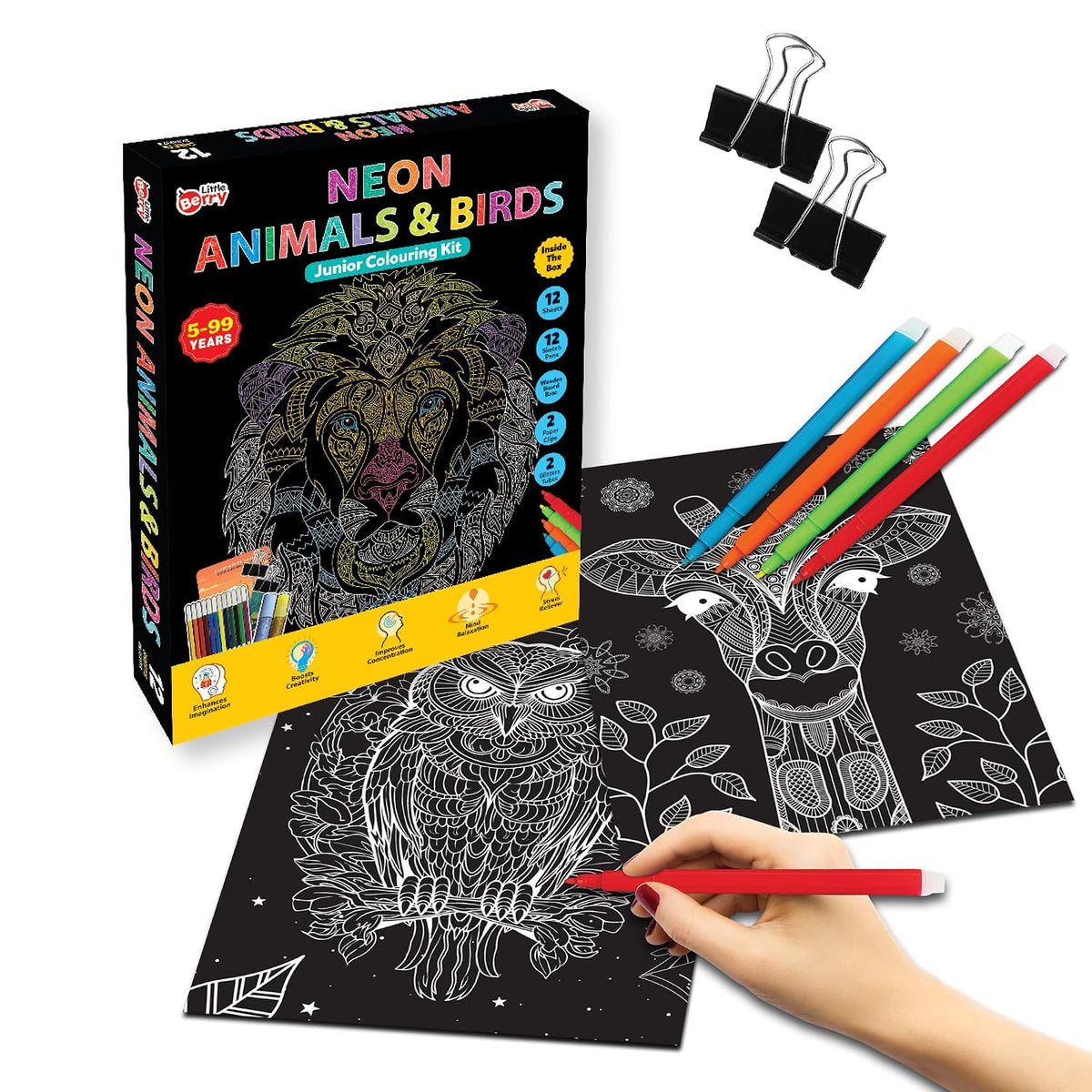 Little Berry DIY Neon Animals & Birds Mandala Art Kit