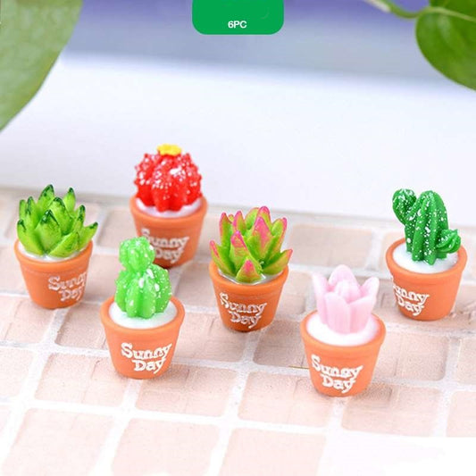 Cactus Miniatures
