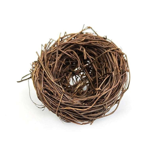 Nest Miniature