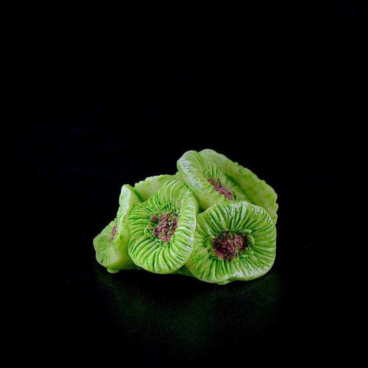 Aquatic Plant Miniature