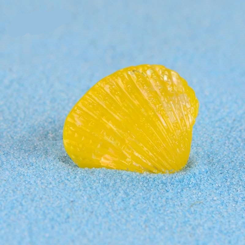 Seashell Miniatures