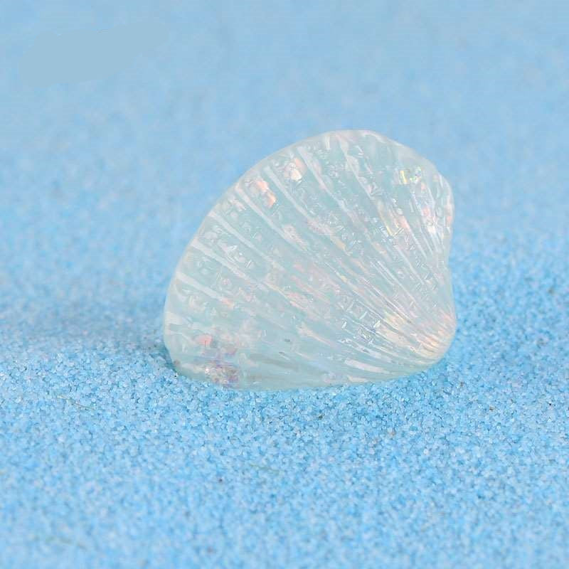 Seashell Miniatures