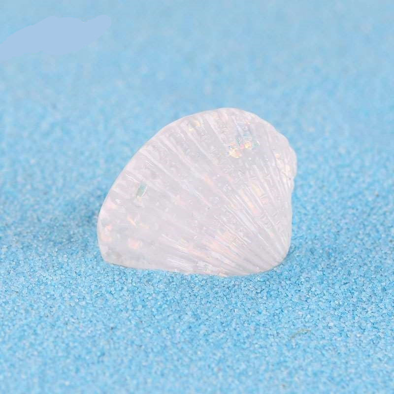 Seashell Miniatures