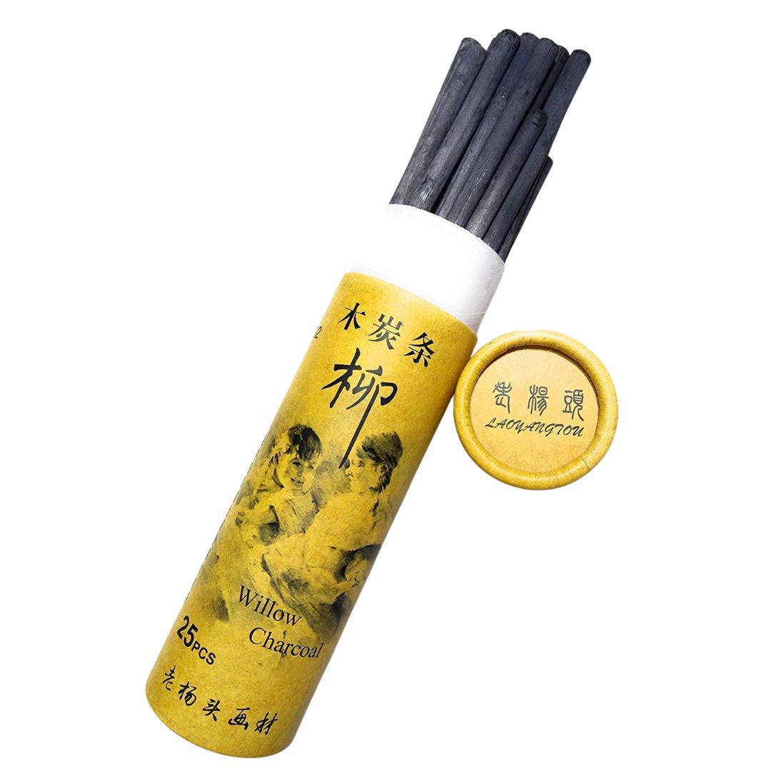 Worison Artist Willow Charcoal Sticks – 25 Pcs for Sketching, Shading & Drawing