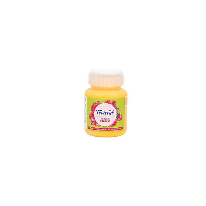 Fevicryl Acrylic Colour 100 ml