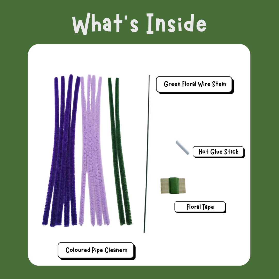 Lavender | DIY Kit