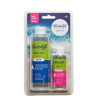 fevicryl epoxy resin art kit 300g
