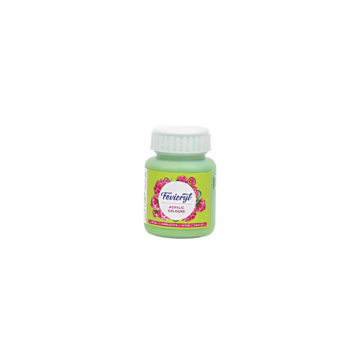 Fevicryl Acrylic Colour 100 ml