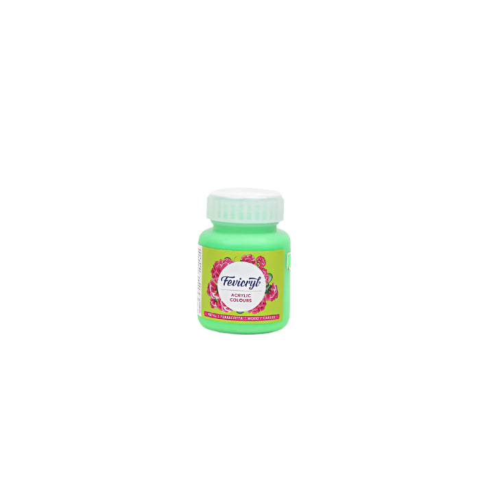 Fevicryl Acrylic Colour 100 ml