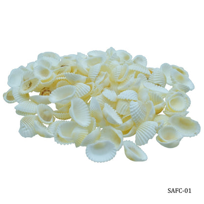 Seashells 100G